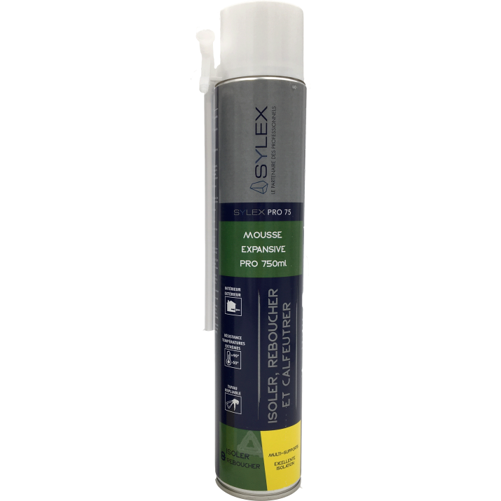 Mousse expansive PU 1C Pro 750 ml